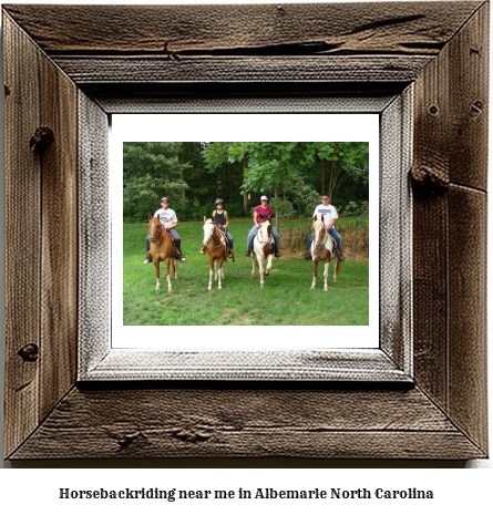 horseback riding near me in Albemarle, North Carolina